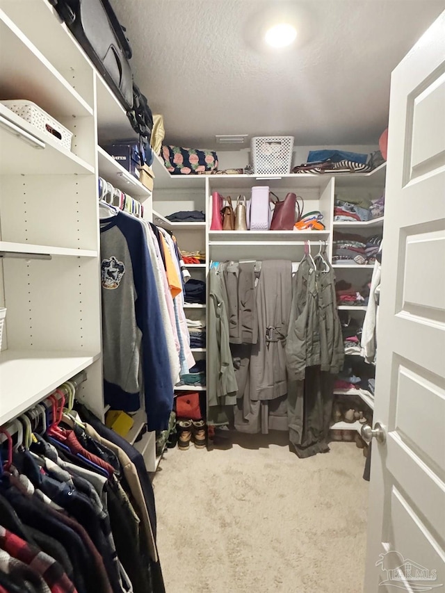 view of walk in closet