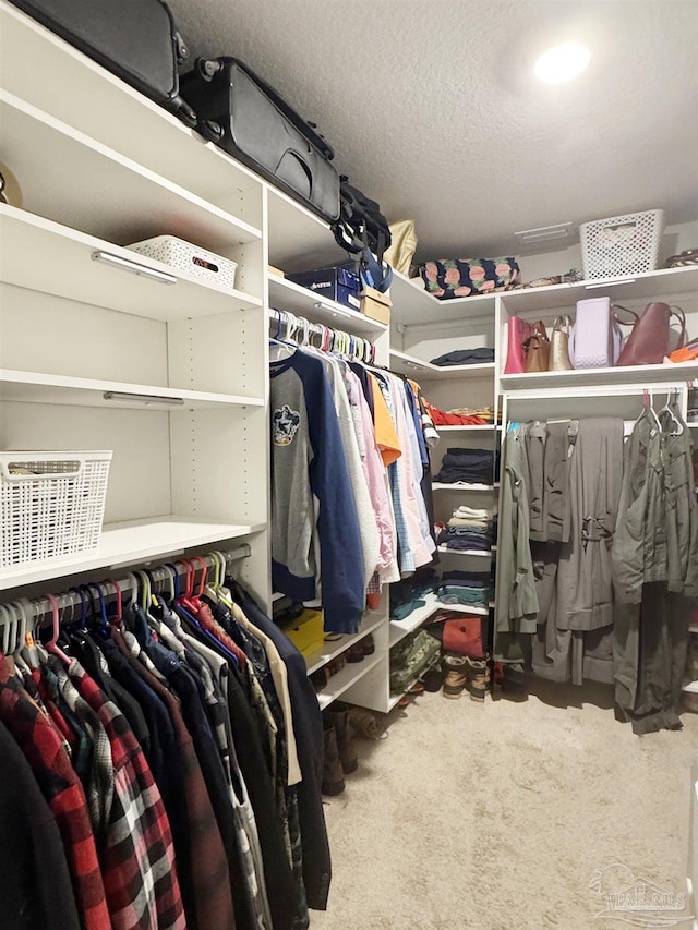 spacious closet featuring carpet