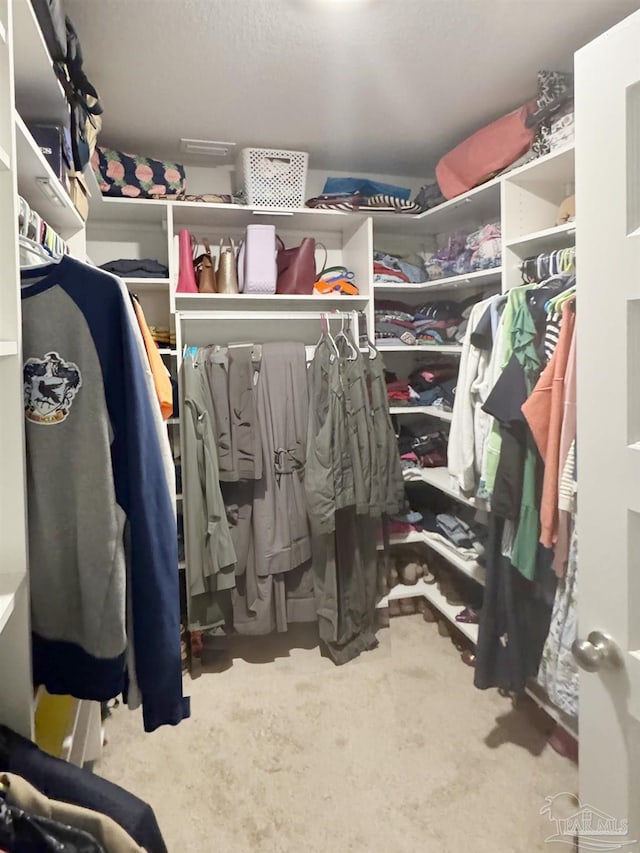 view of walk in closet