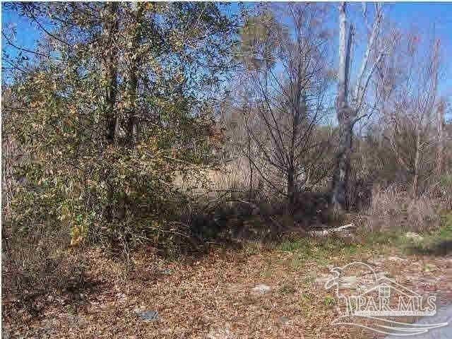 Doc Whitfield Rd, Wewahitchka FL, 32465 land for sale