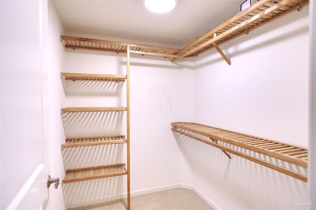 spacious closet with carpet floors