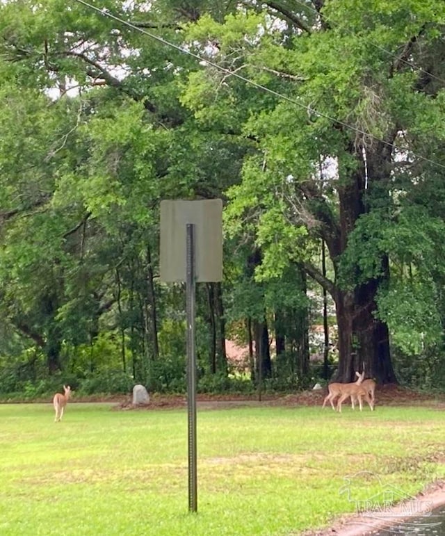 surrounding community featuring a lawn