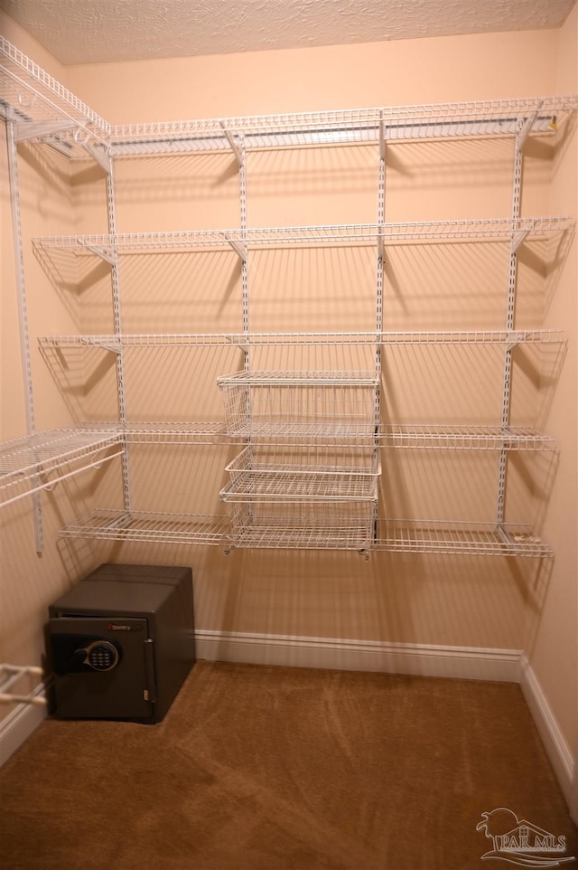 spacious closet with carpet flooring