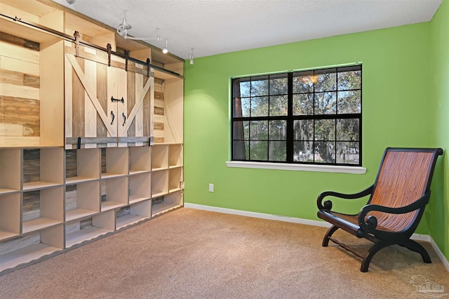 unfurnished room with baseboards, carpet, a textured ceiling, and a barn door