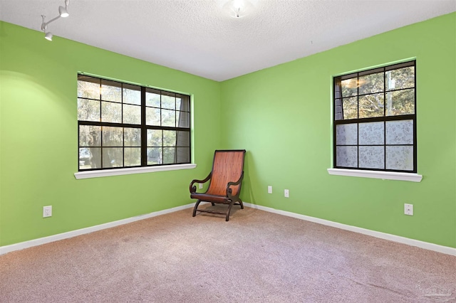 unfurnished room with a textured ceiling, carpet floors, and a wealth of natural light