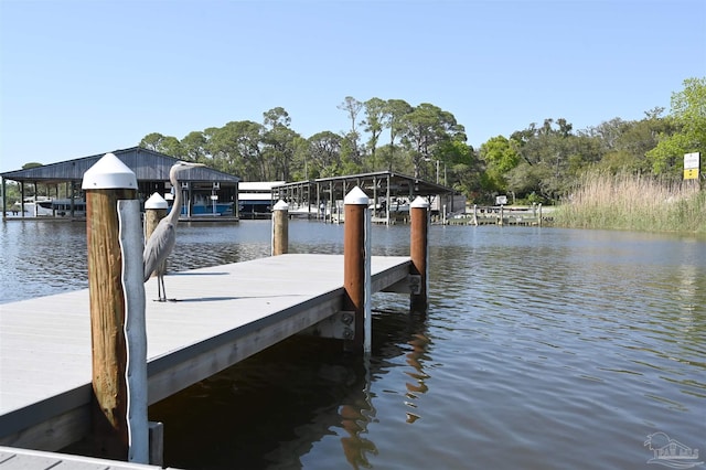 dock area featuring a water view and boat lift