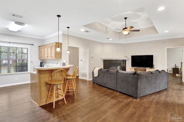 living room with dark hardwood / wood-style floors, ceiling fan, a tray ceiling, and crown molding