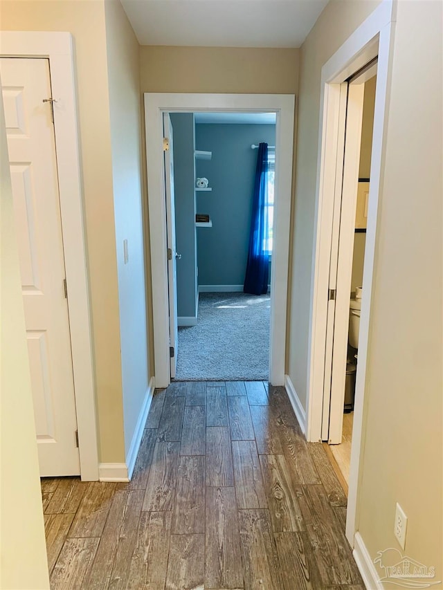 hall featuring wood-type flooring