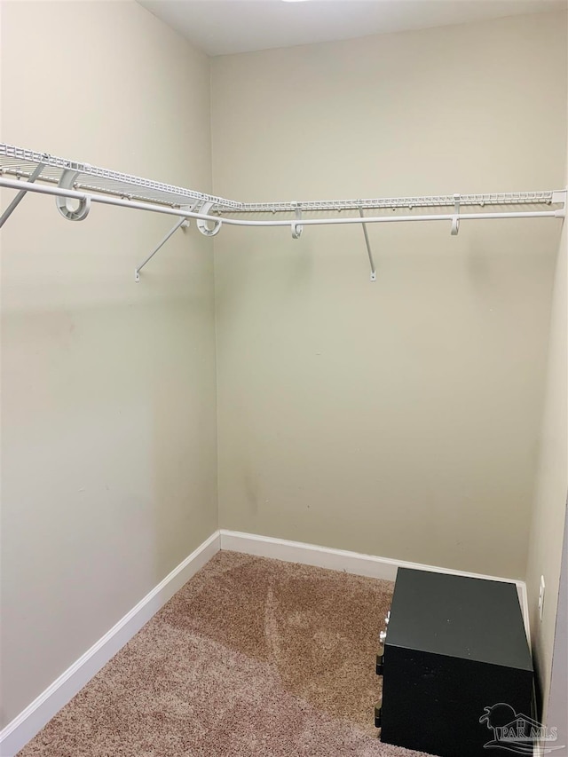 spacious closet with carpet