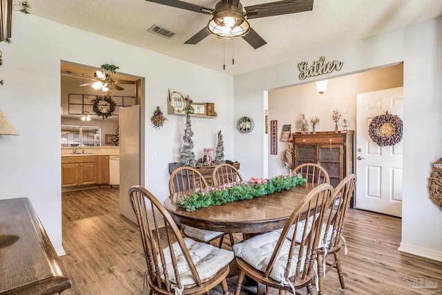 dining room with sink, a textured ceiling, and light wood-type flooring