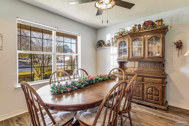 dining room with ceiling fan, a textured ceiling, and light hardwood / wood-style flooring