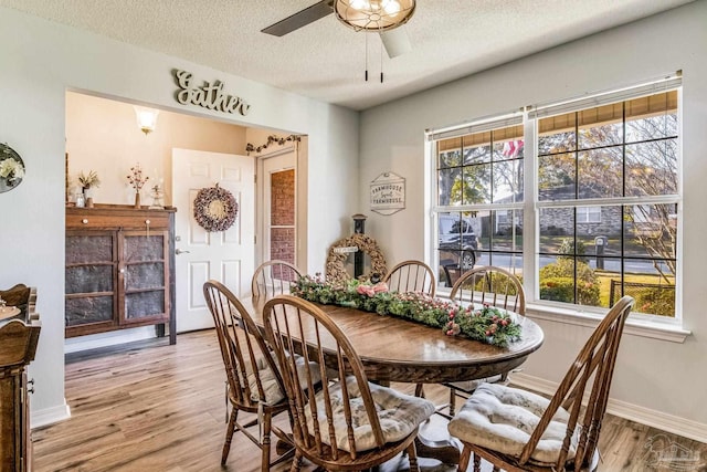 dining room with ceiling fan, light hardwood / wood-style floors, and a textured ceiling