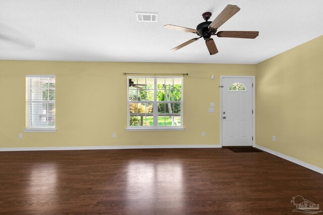 foyer entrance with wood-type flooring, a wealth of natural light, and ceiling fan