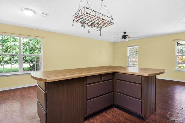 kitchen with dark brown cabinets, ceiling fan, and dark wood-type flooring