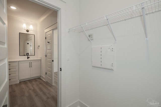 walk in closet with dark hardwood / wood-style floors and sink