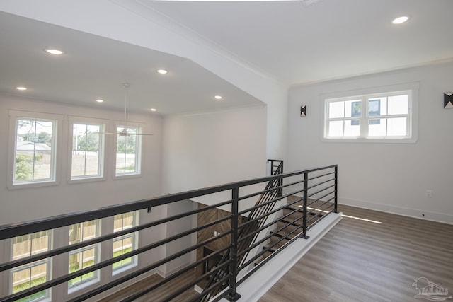 corridor featuring ornamental molding and dark hardwood / wood-style floors