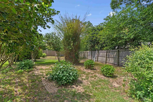 5816 Forest Ridge Dr, Pensacola, FL 32526 - view of fenced backyard