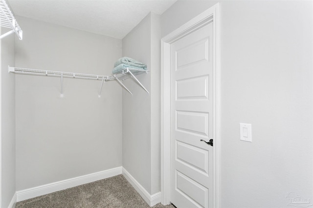 walk in closet with dark colored carpet