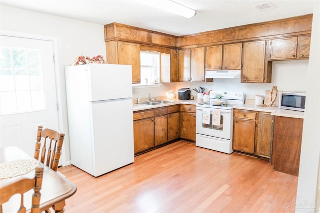 kitchen featuring white appliances, under cabinet range hood, a sink, and brown cabinets