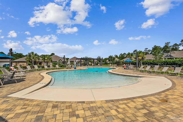 view of pool featuring a patio