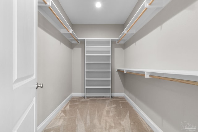 spacious closet featuring carpet