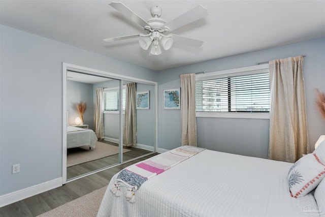 bedroom with ceiling fan, a closet, dark wood-type flooring, and multiple windows