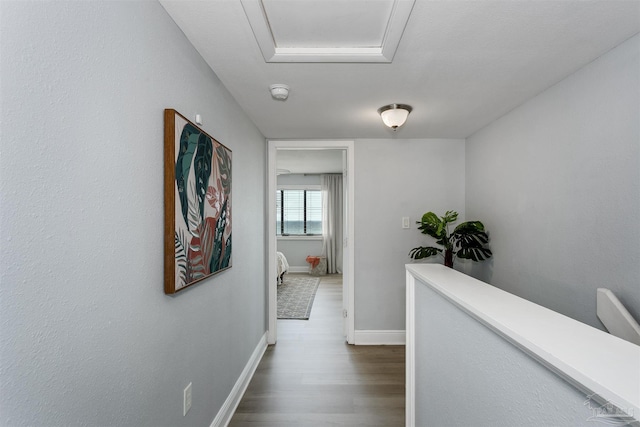 corridor with dark hardwood / wood-style flooring