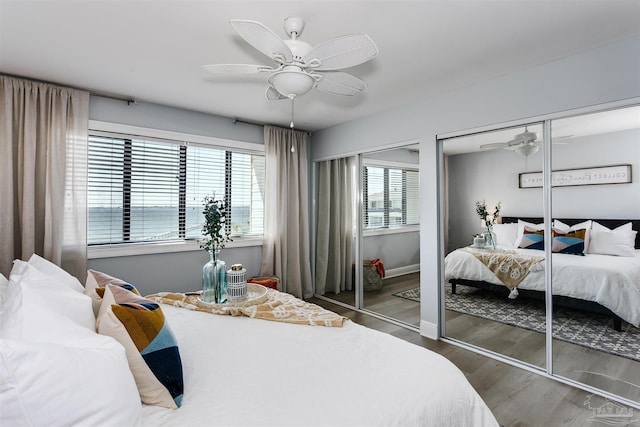 bedroom featuring multiple closets, dark hardwood / wood-style floors, and ceiling fan