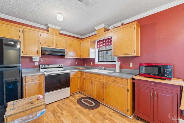 kitchen with sink, light hardwood / wood-style flooring, crown molding, and black appliances