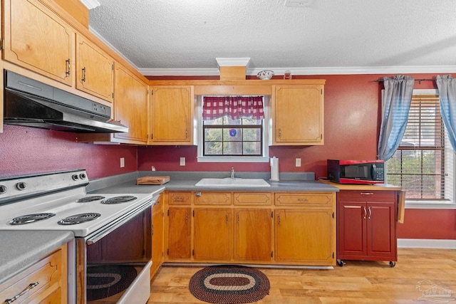 kitchen with sink, ornamental molding, white range with electric stovetop, a textured ceiling, and light wood-type flooring