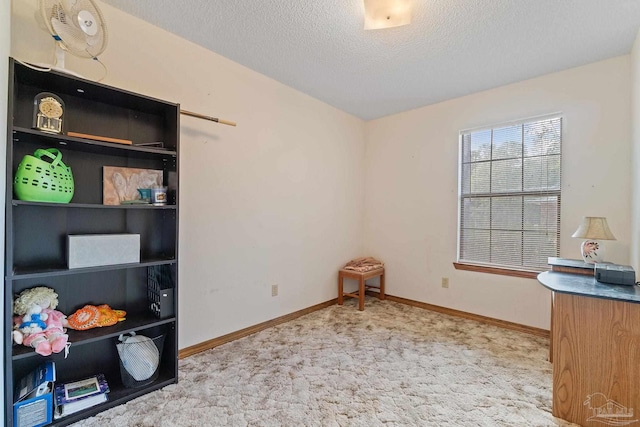 office with light carpet and a textured ceiling