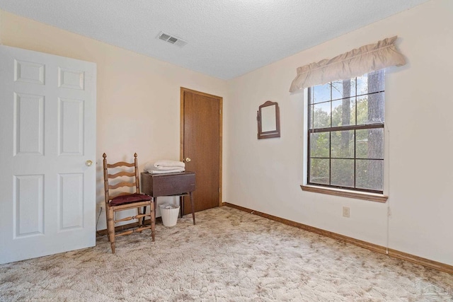 office space featuring light colored carpet and a textured ceiling