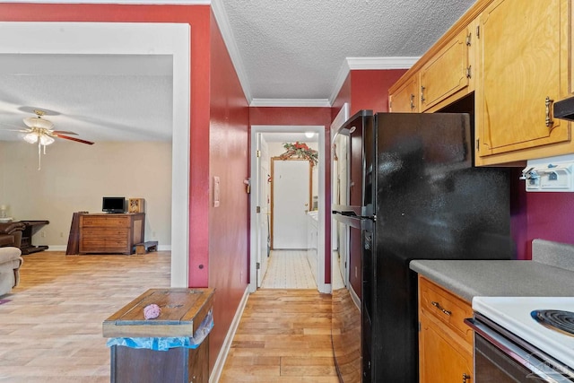 kitchen with black refrigerator, crown molding, ceiling fan, light wood-type flooring, and a textured ceiling