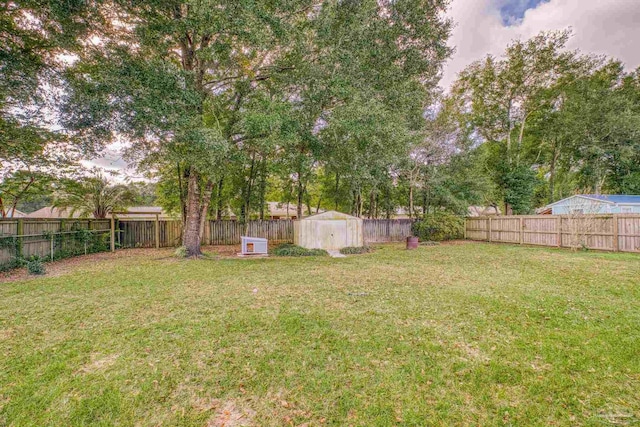 view of yard featuring a storage shed