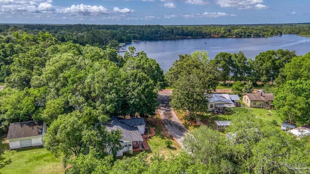7074 Milton Ct, Milton, FL 32583 - aerial view of property's location with a nearby body of water and a forest