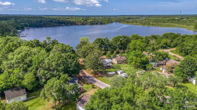7074 Milton Ct, Milton, FL 32583 - view of property location with a nearby body of water and a forest