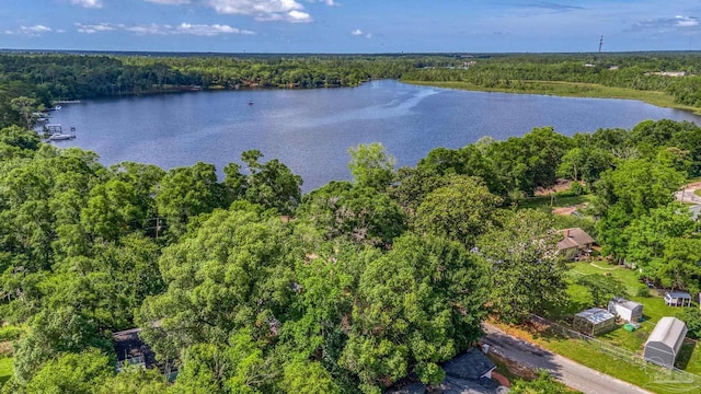 7074 Milton Ct, Milton, FL 32583 - bird's eye view of a forest and a nearby body of water
