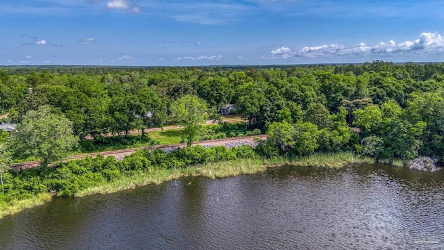 7074 Milton Ct, Milton, FL 32583 - drone / aerial view of a heavily wooded area and a nearby body of water