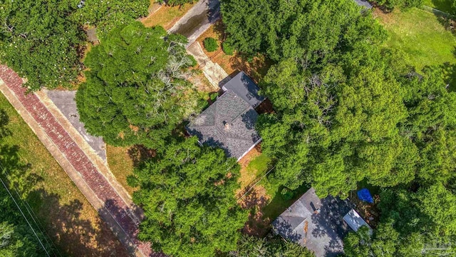 7074 Milton Ct, Milton, FL 32583 - bird's eye view