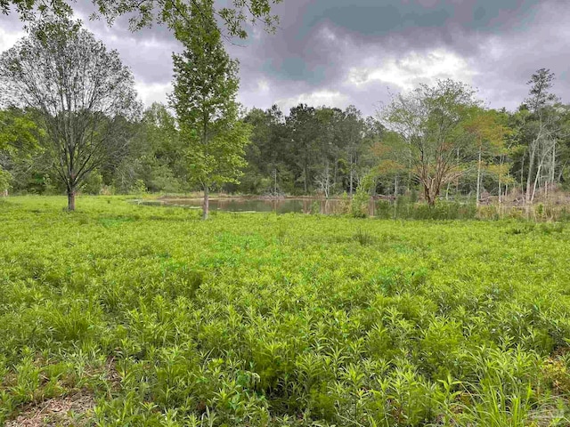 7236 Tidwell Rd, Pace FL, 32571 land for sale