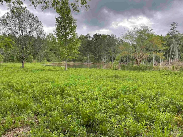 7236 Tidwell Rd, Pace, FL 32571