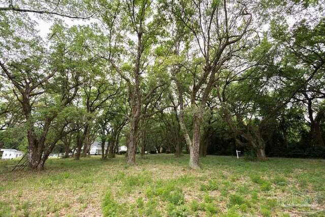 7236 Tidwell Rd, Pace, FL 32571