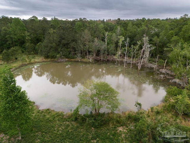 7236 Tidwell Rd, Pace, FL 32571