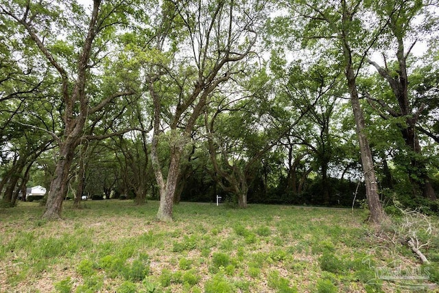 7236 Tidwell Rd, Pace, FL 32571