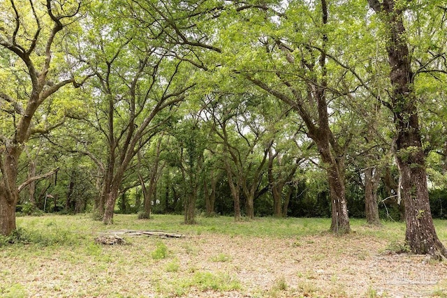 7236 Tidwell Rd, Pace, FL 32571