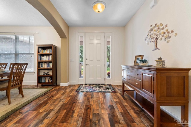 foyer featuring dark hardwood / wood-style flooring and a wealth of natural light