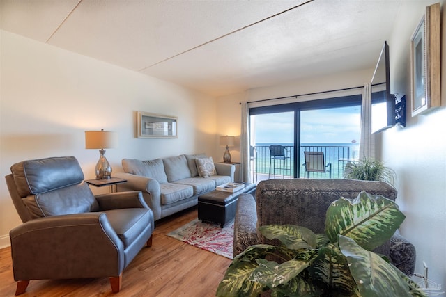 living room with hardwood / wood-style floors