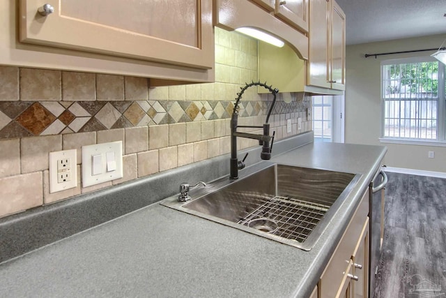 kitchen featuring tasteful backsplash, sink, and dark hardwood / wood-style flooring