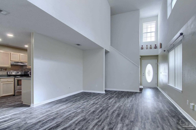 foyer featuring dark hardwood / wood-style floors and a high ceiling