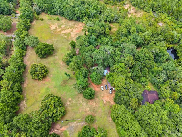 6640 Frank Reeder Rd, Pensacola, FL 32526 - aerial view